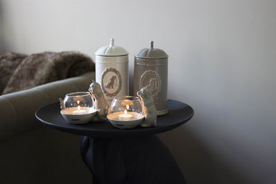 Gatto con paracandela