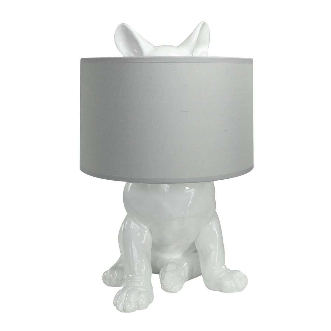 Lampada con cane nascosto