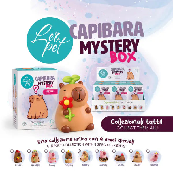 Gioco per cani in lattice Capibara Mystery Box Leopet