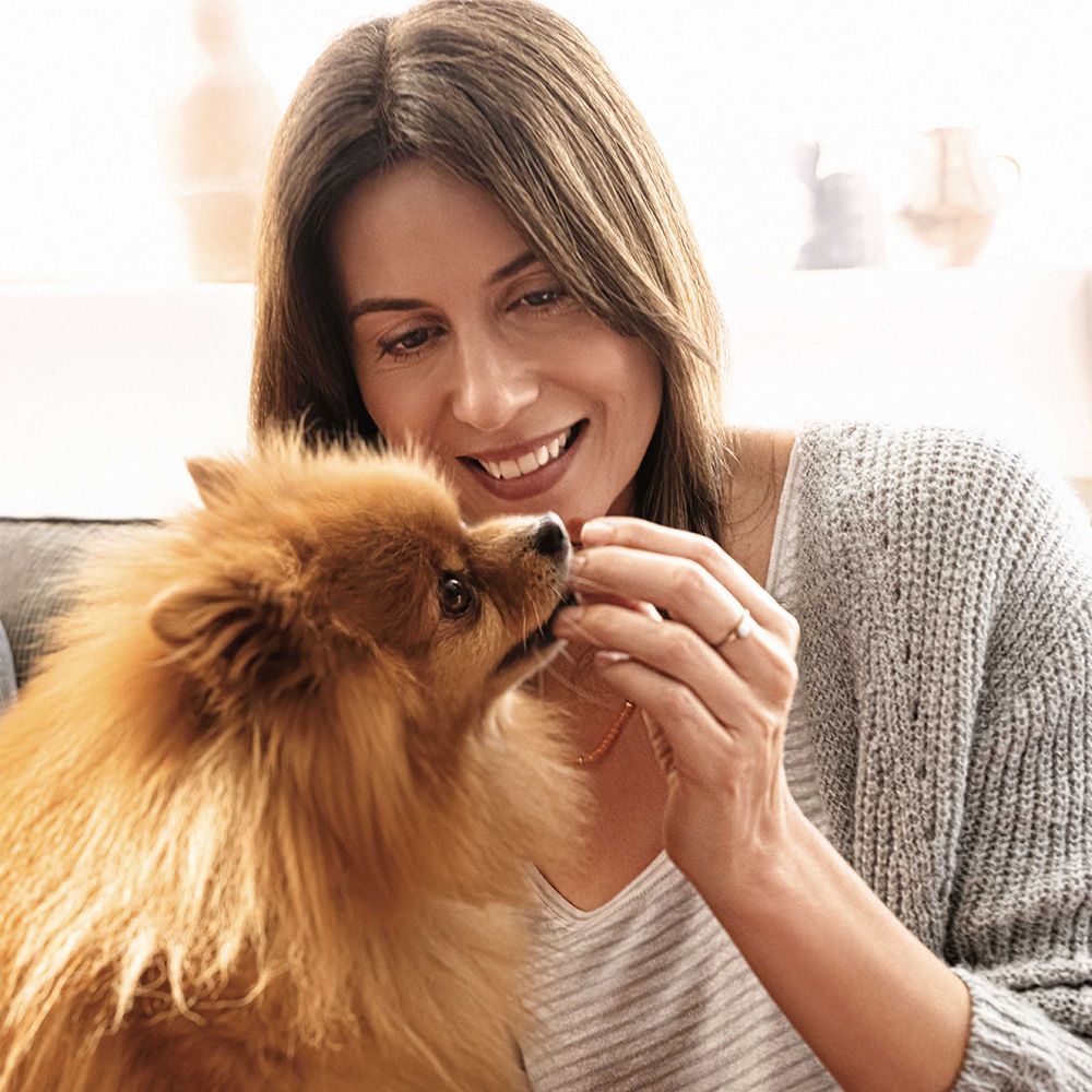 Frontpro Contro Pulci E Zecche Per Cani 2-4 Kg 3 Compresse Masticabili