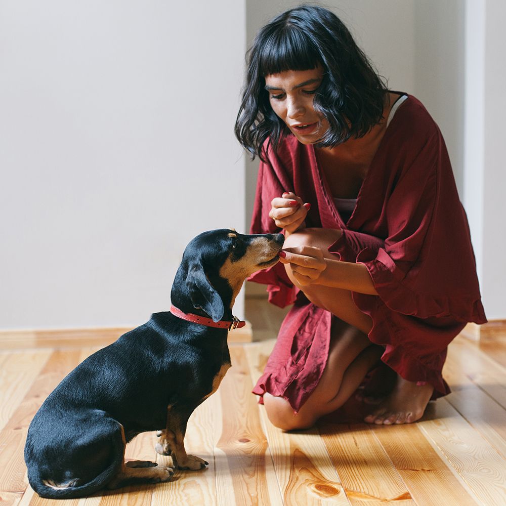 Frontpro Contro Pulci E Zecche 28,3 Mg Per Cani 4-10Kg 3 Compresse Masticabili