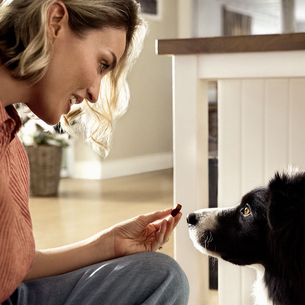 Frontpro Contro Pulci E Zecche Per Cani 10-25 Kg 3 Compresse Masticabili