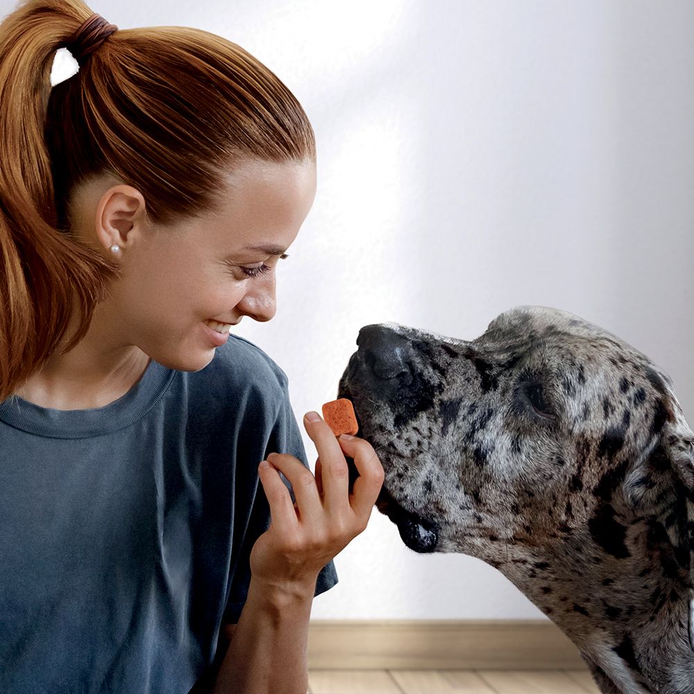 Frontpro Contro Pulci E Zecche Per Cani 25-50 Kg 3 Compresse Masticabili