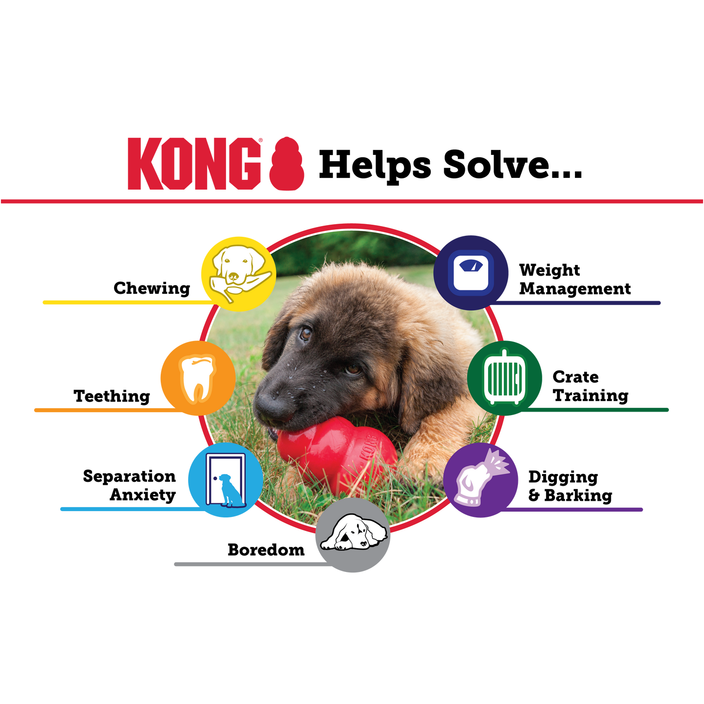 Kong per cuccioli