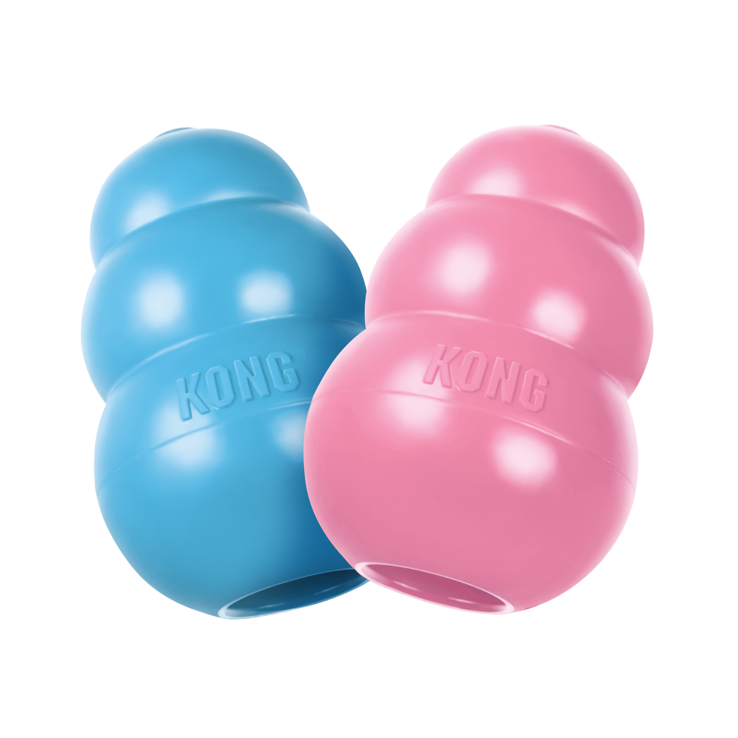 Kong per cuccioli
