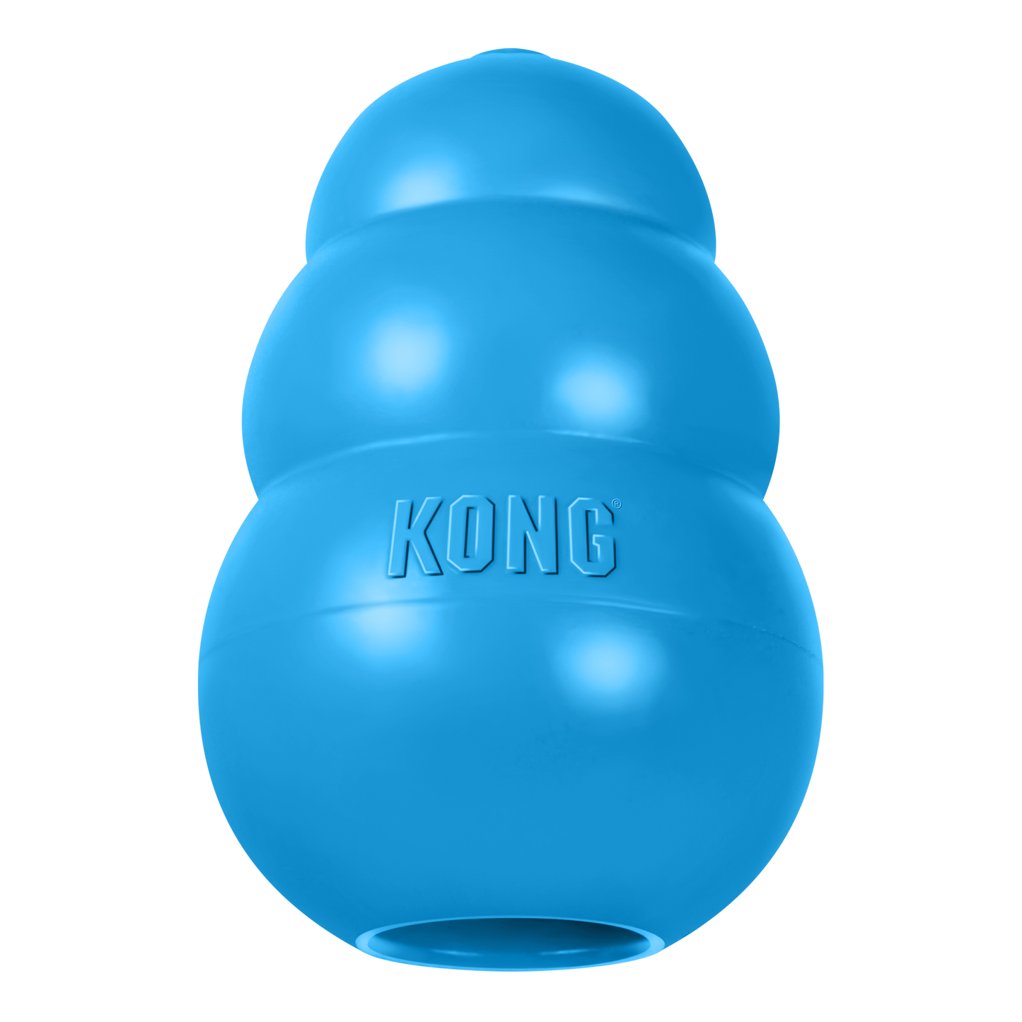 Kong per cuccioli
