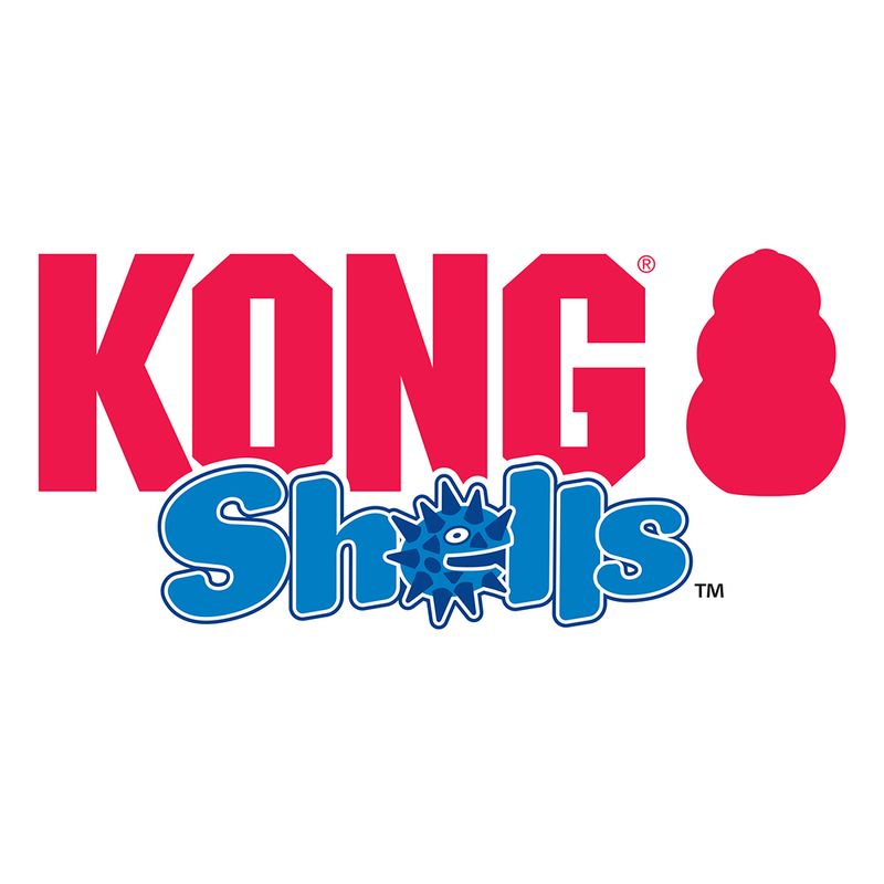 KONG tartaruga