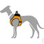 Pettorina HUNTER - confort