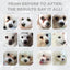 Crocchette per cane adulto con mantello bianco gusto salmone