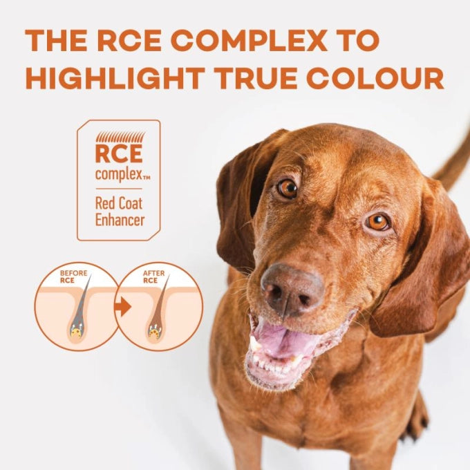 Crocchette per cane adulto con mantello rosso gusto salmone