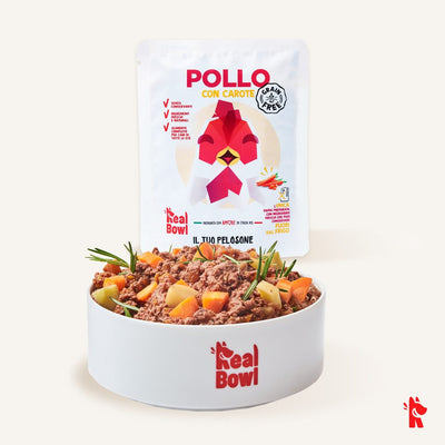 Pappa fresca di Pollo RAW