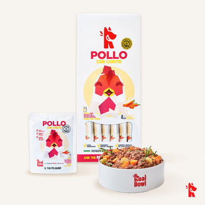 Pappa fresca di Pollo RAW