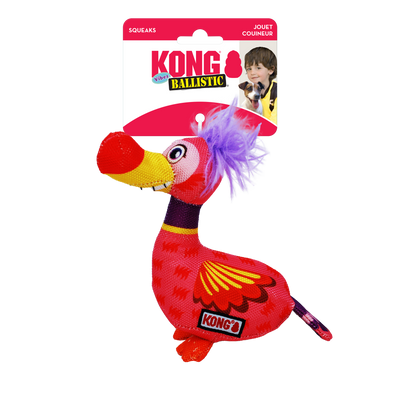 Kong bird