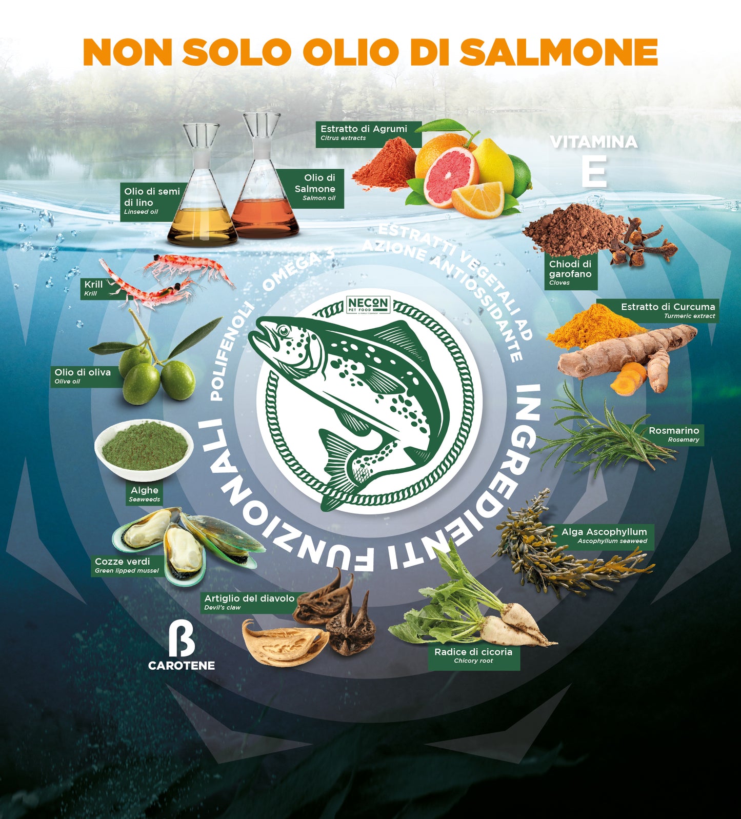 Salmoil Ricetta 1 benessere renale